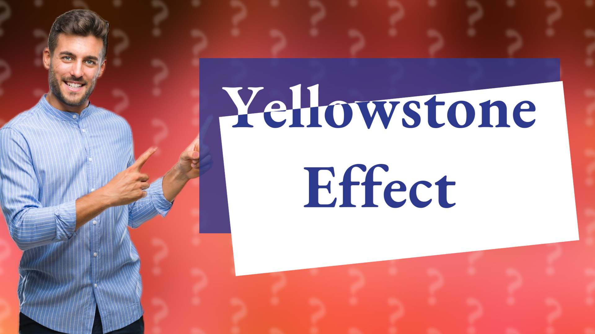 Yellowstone Effect