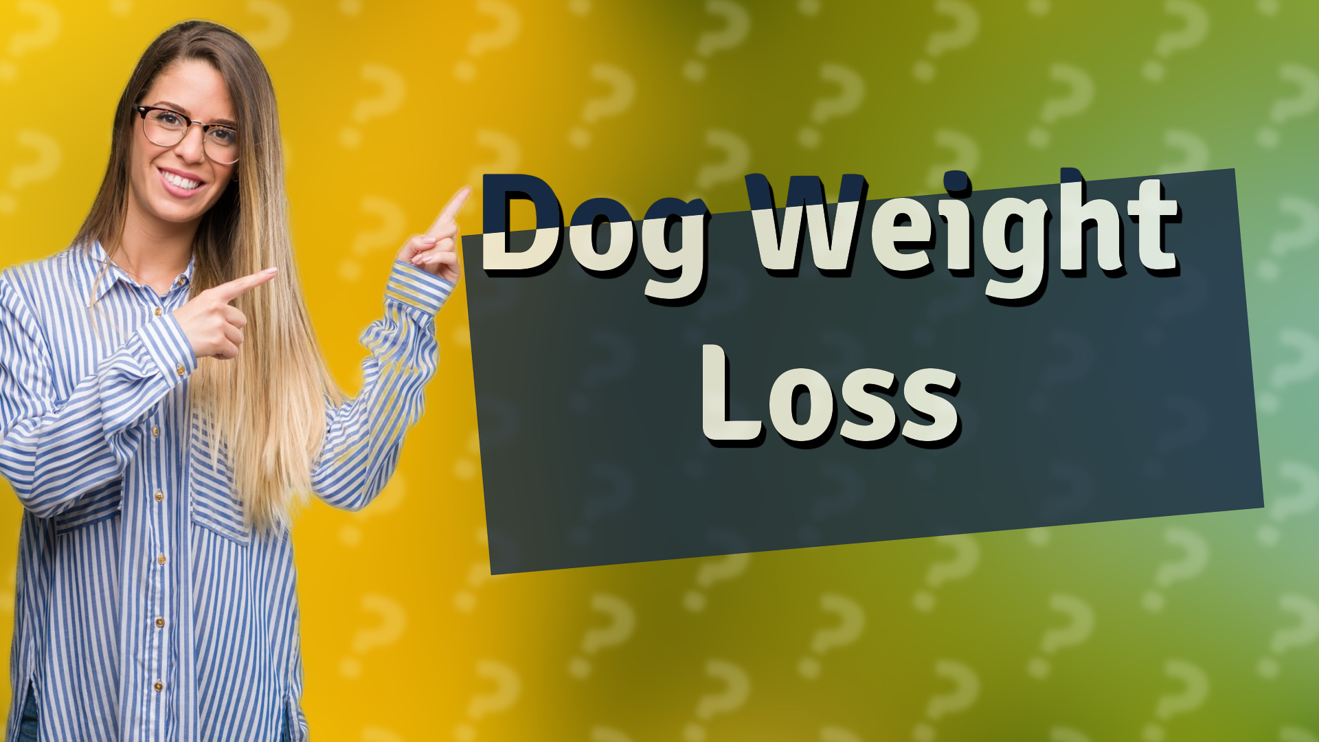 Dog Weight Loss