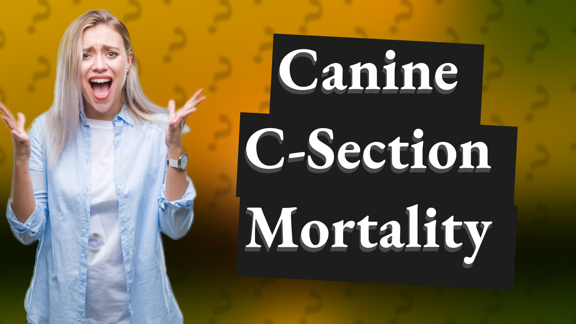 Canine C-Section Mortality