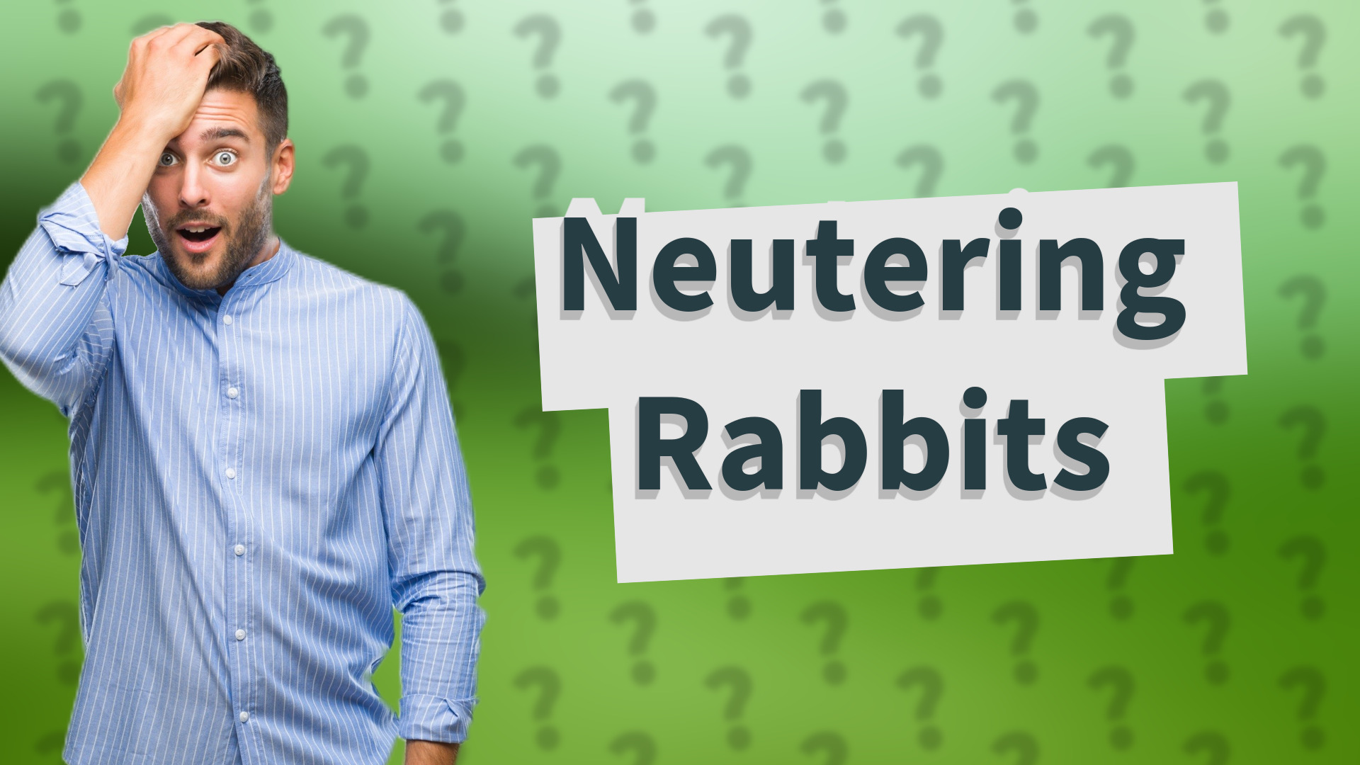 Neutering Rabbits