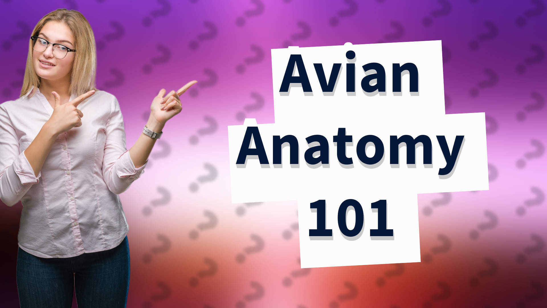 Avian Anatomy 101