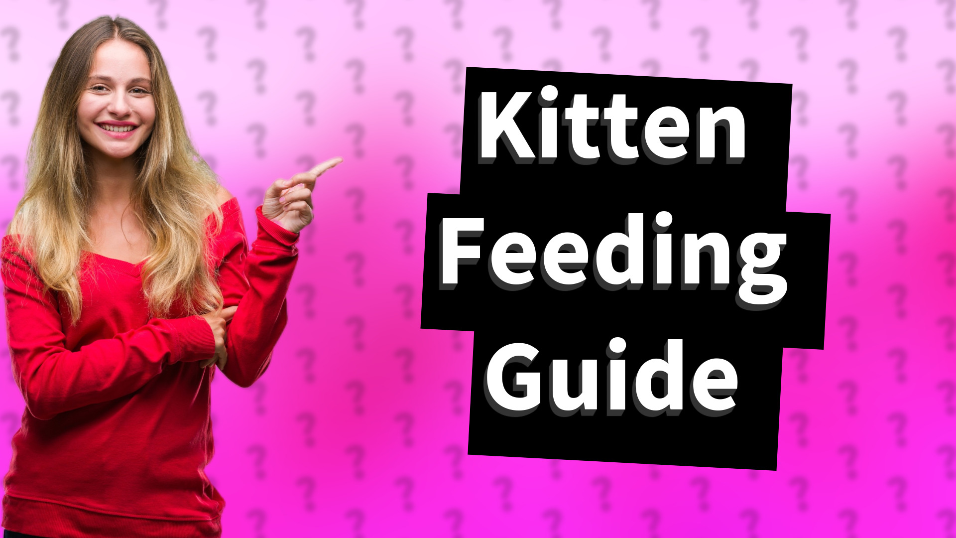 Kitten Feeding Guide