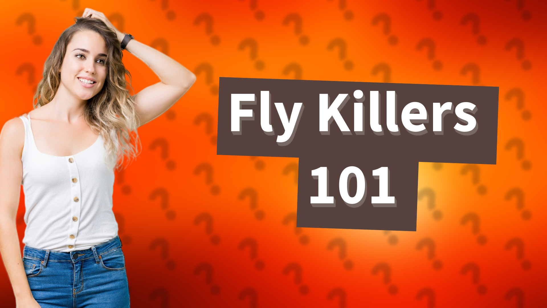 Fly Killers 101