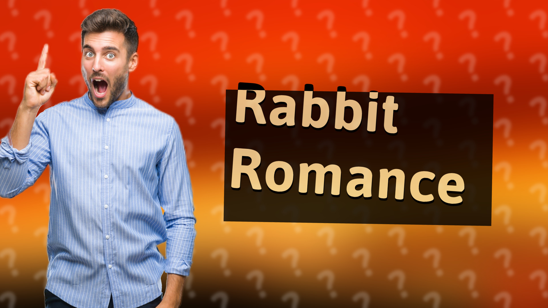 Rabbit Romance