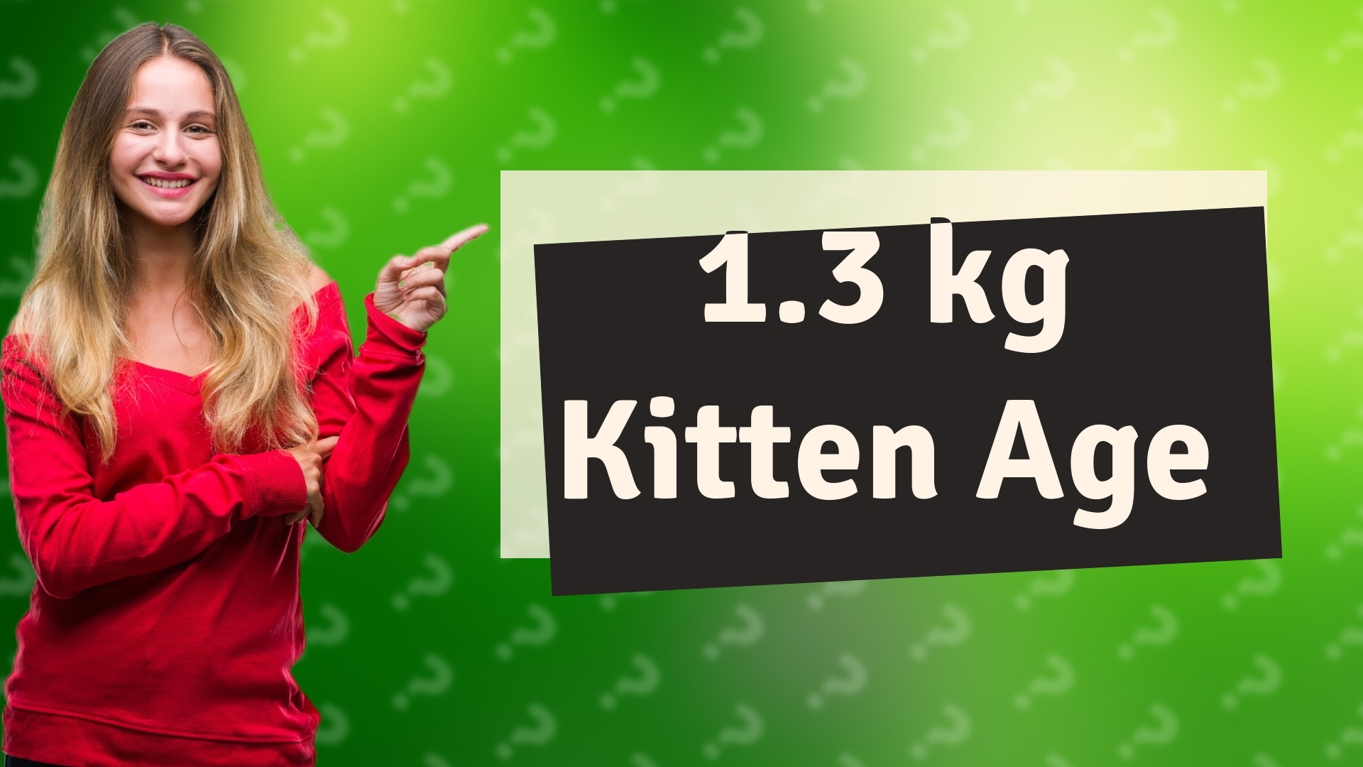 1.3 kg Kitten Age