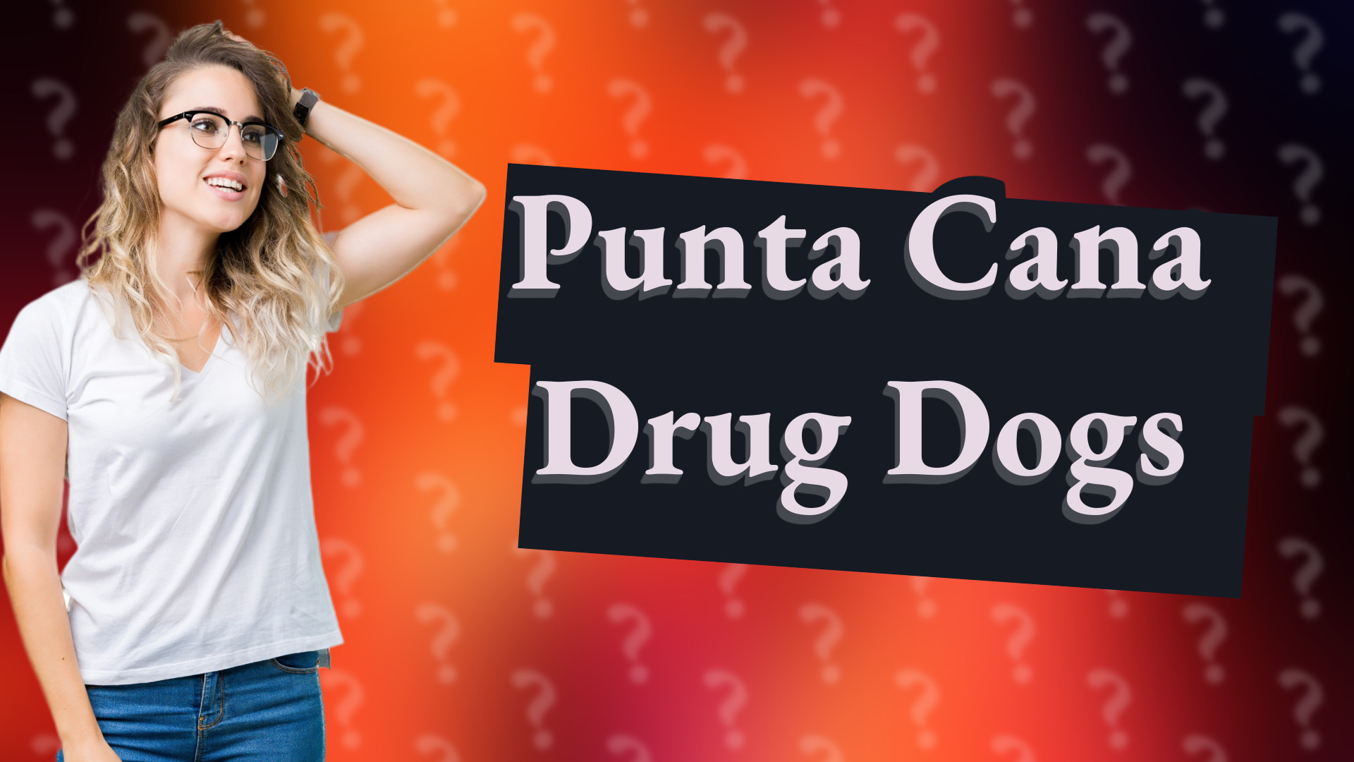 Punta Cana Drug Dogs