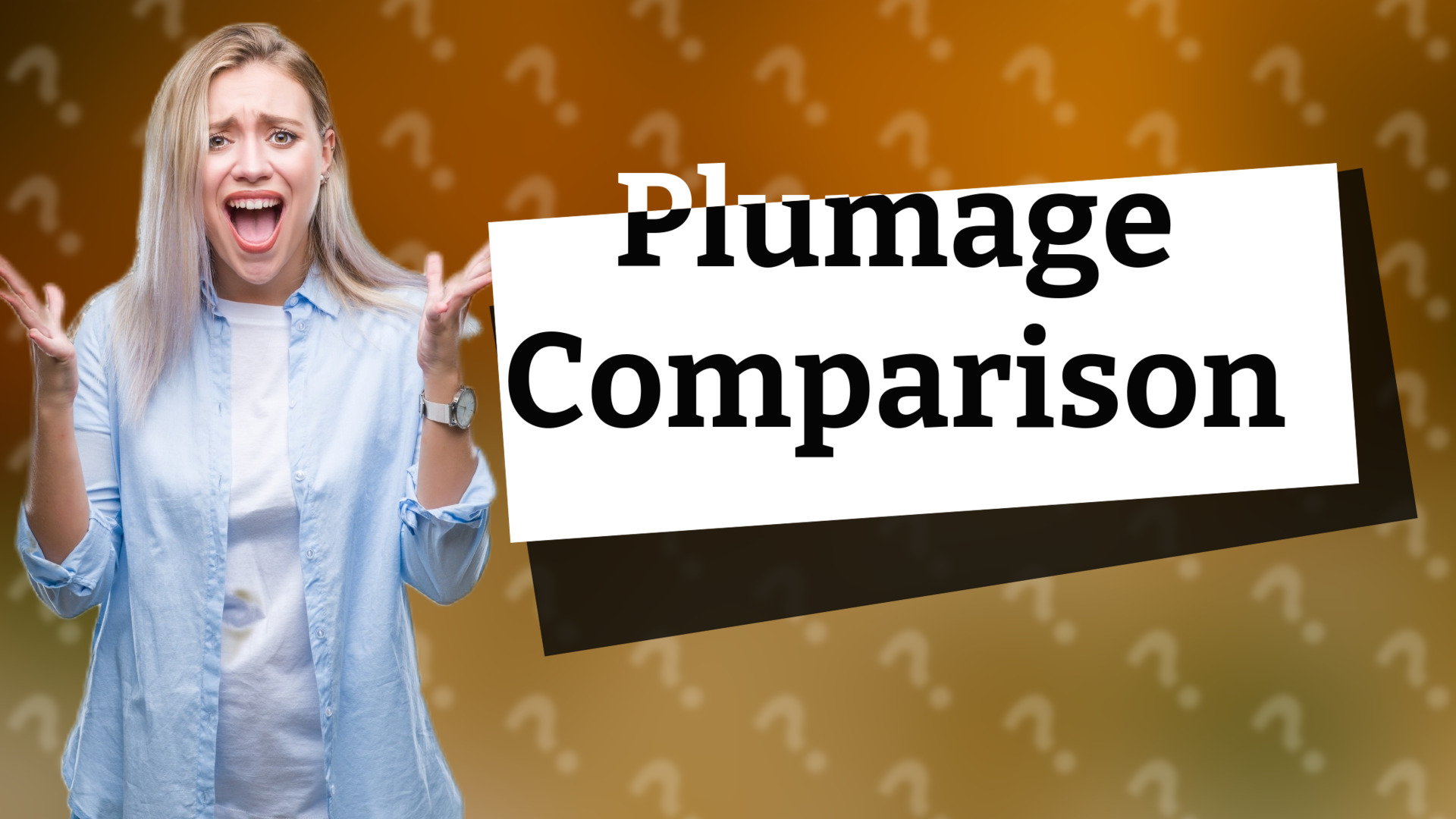 Plumage Comparison