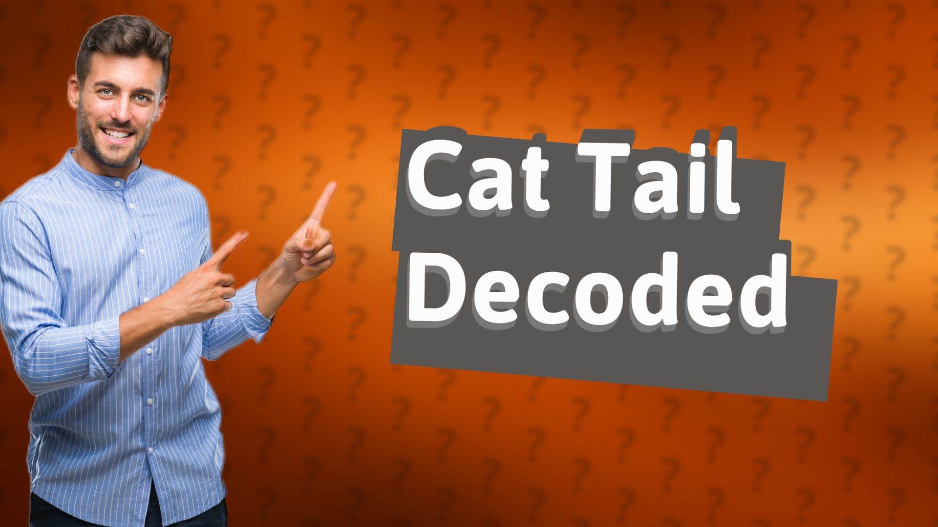 Cat Tail Decoded