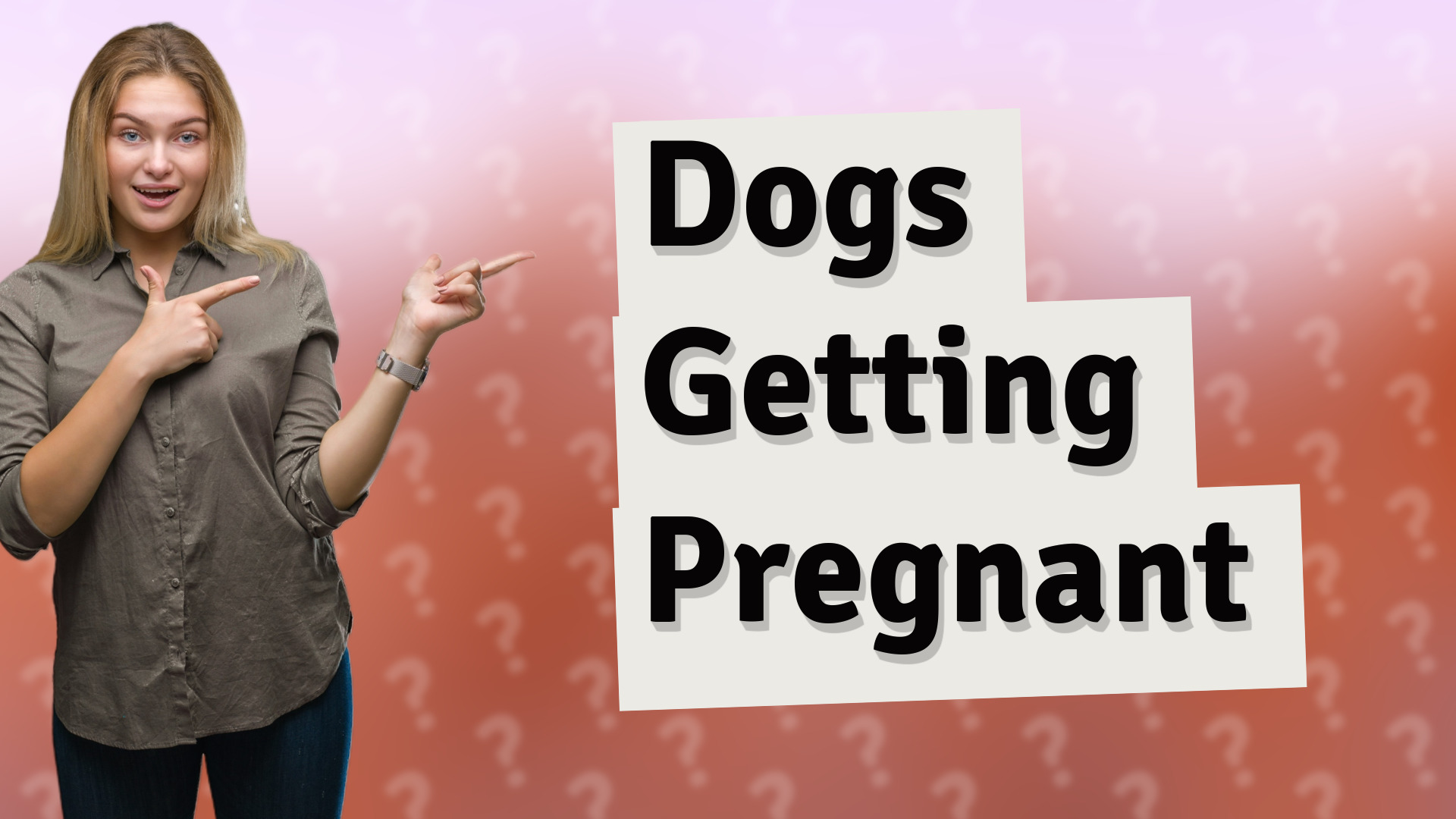 Dogs Getting Pregnant