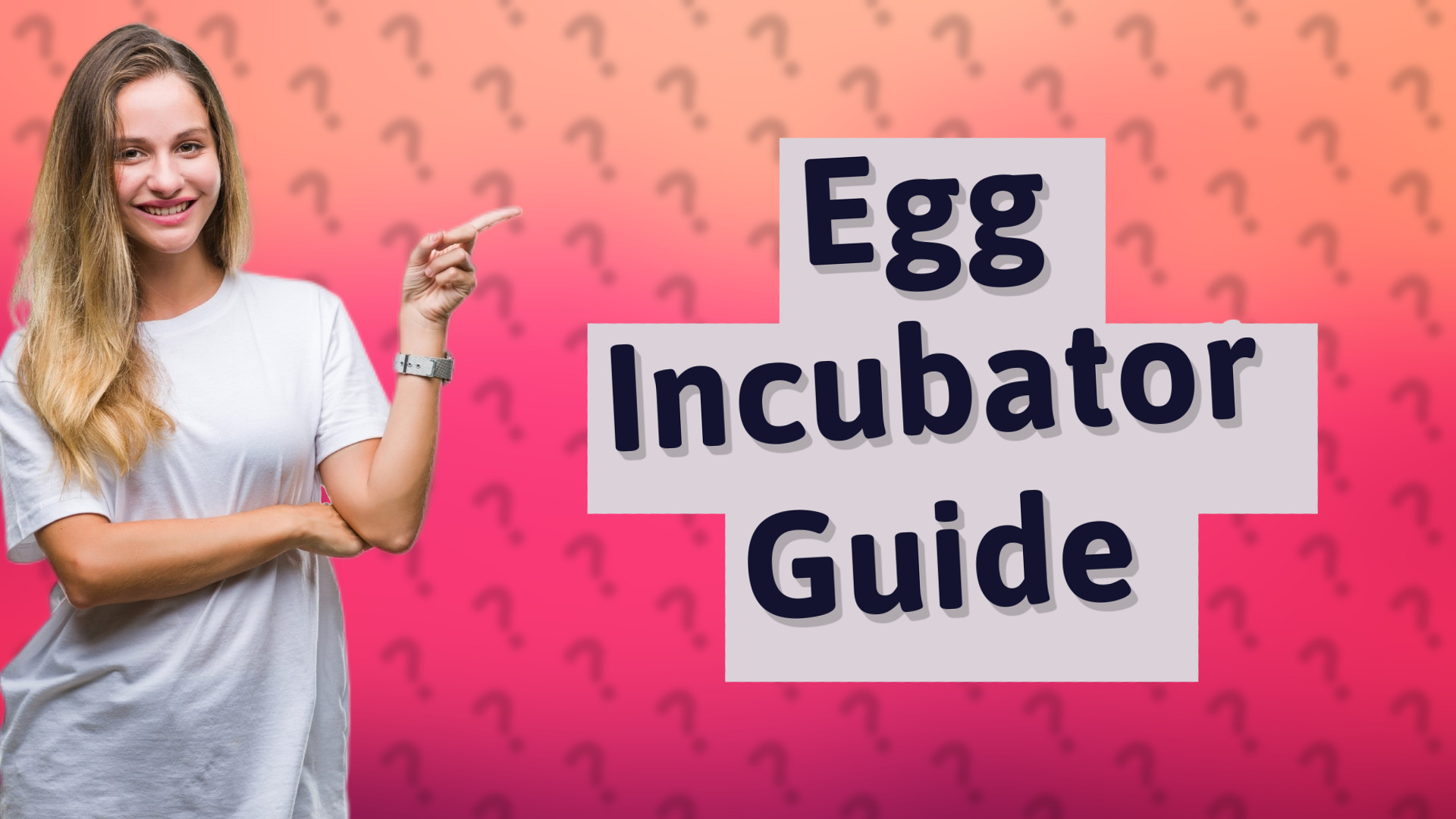 Egg Incubator Guide