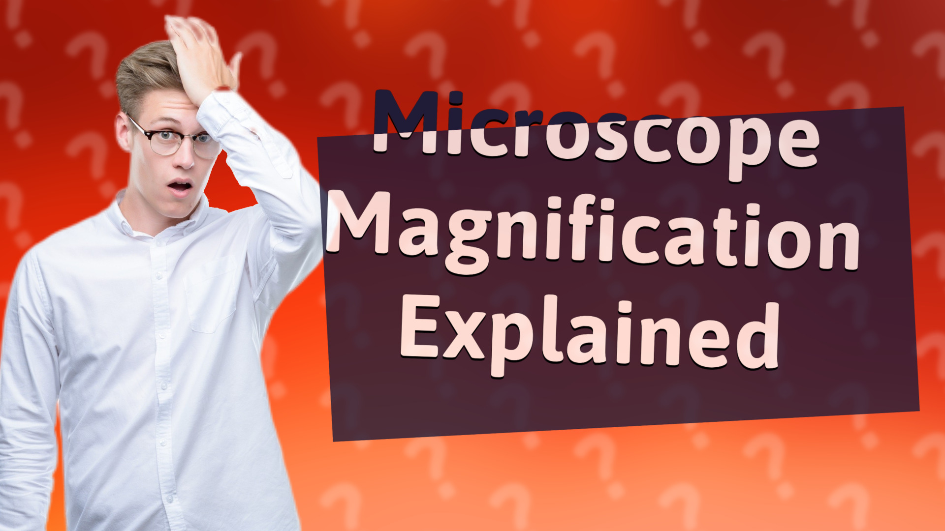 Microscope Magnification Explained