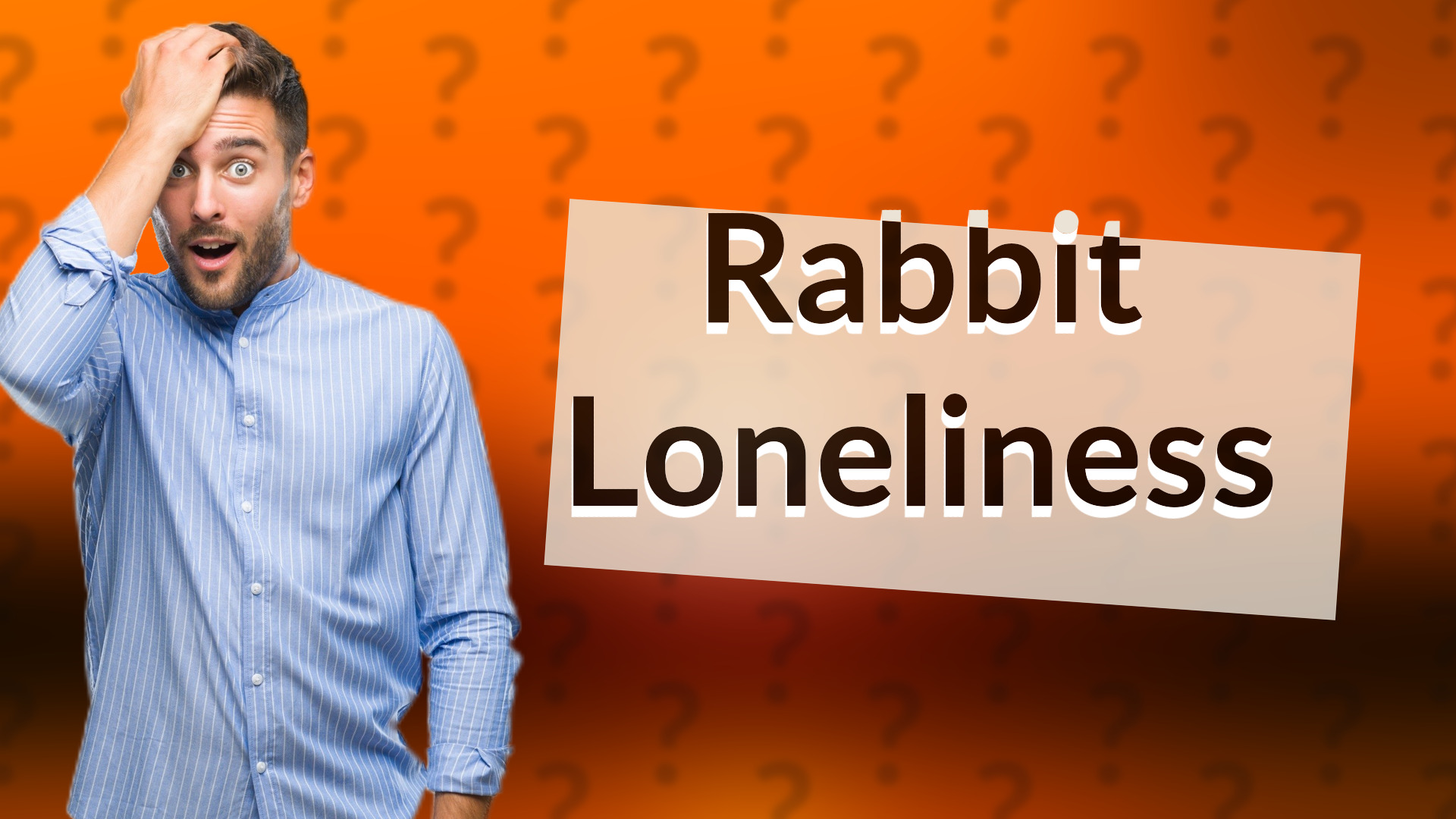 Rabbit Loneliness