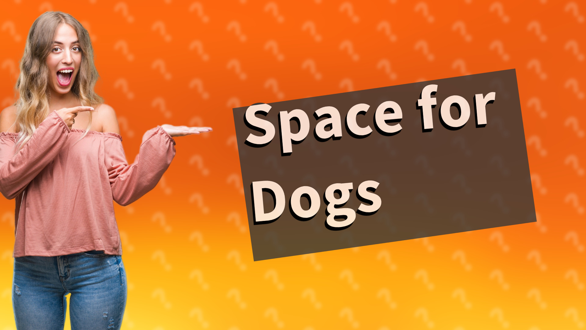 Space for Dogs