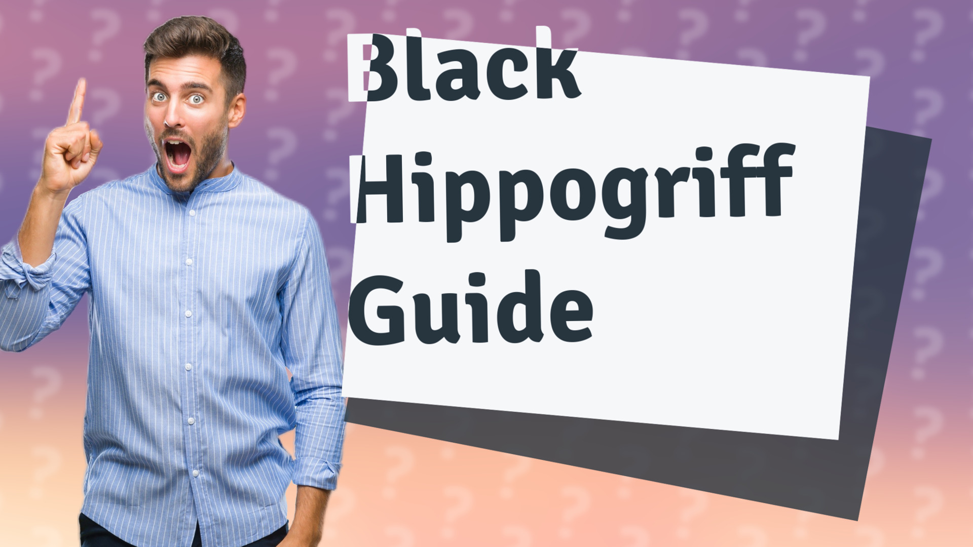 Black Hippogriff Guide