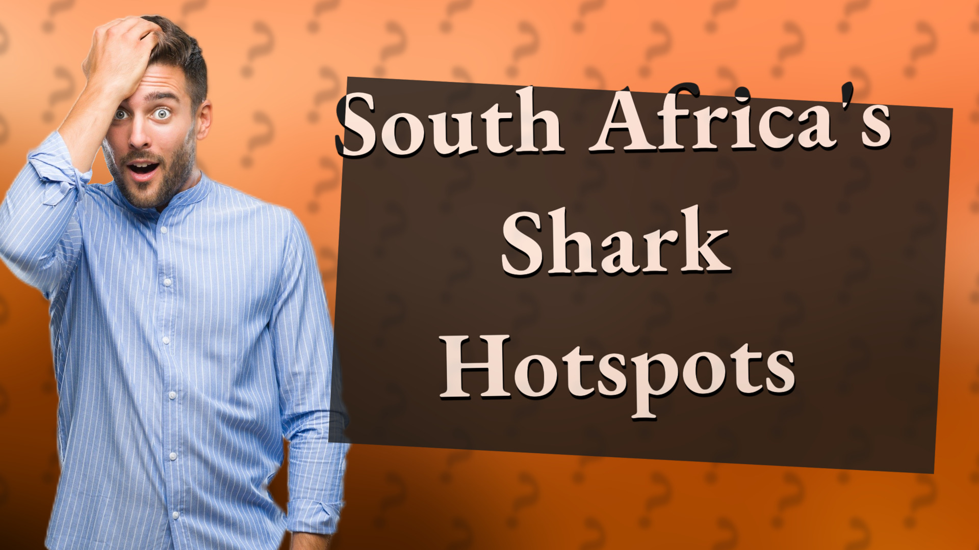 South Africa's Shark Hotspots