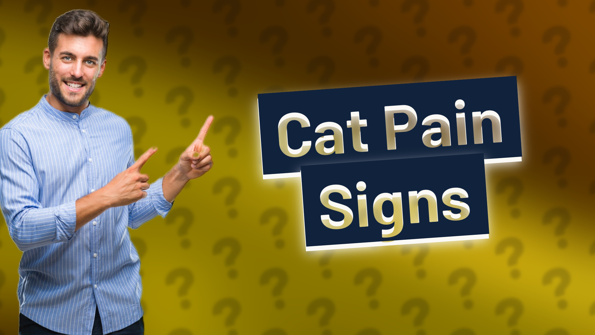 Cat Pain Signs