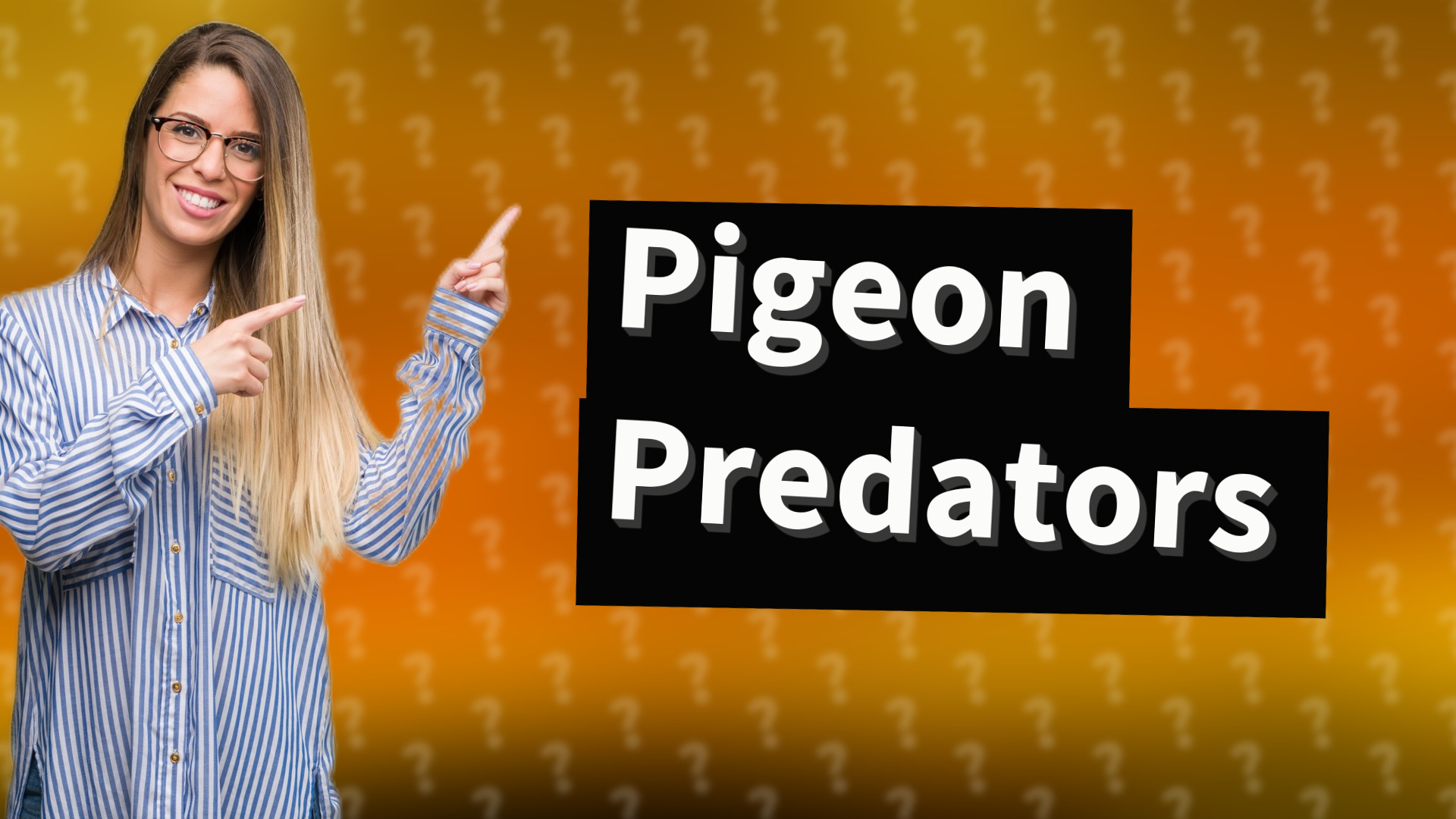 Pigeon Predators