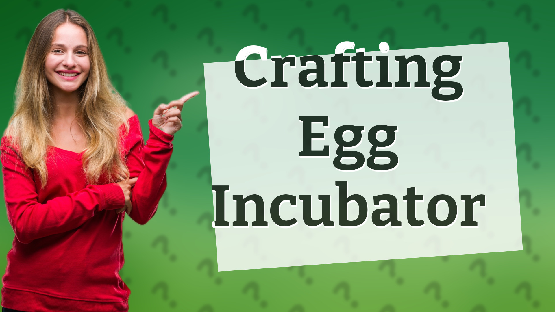 Crafting Egg Incubator