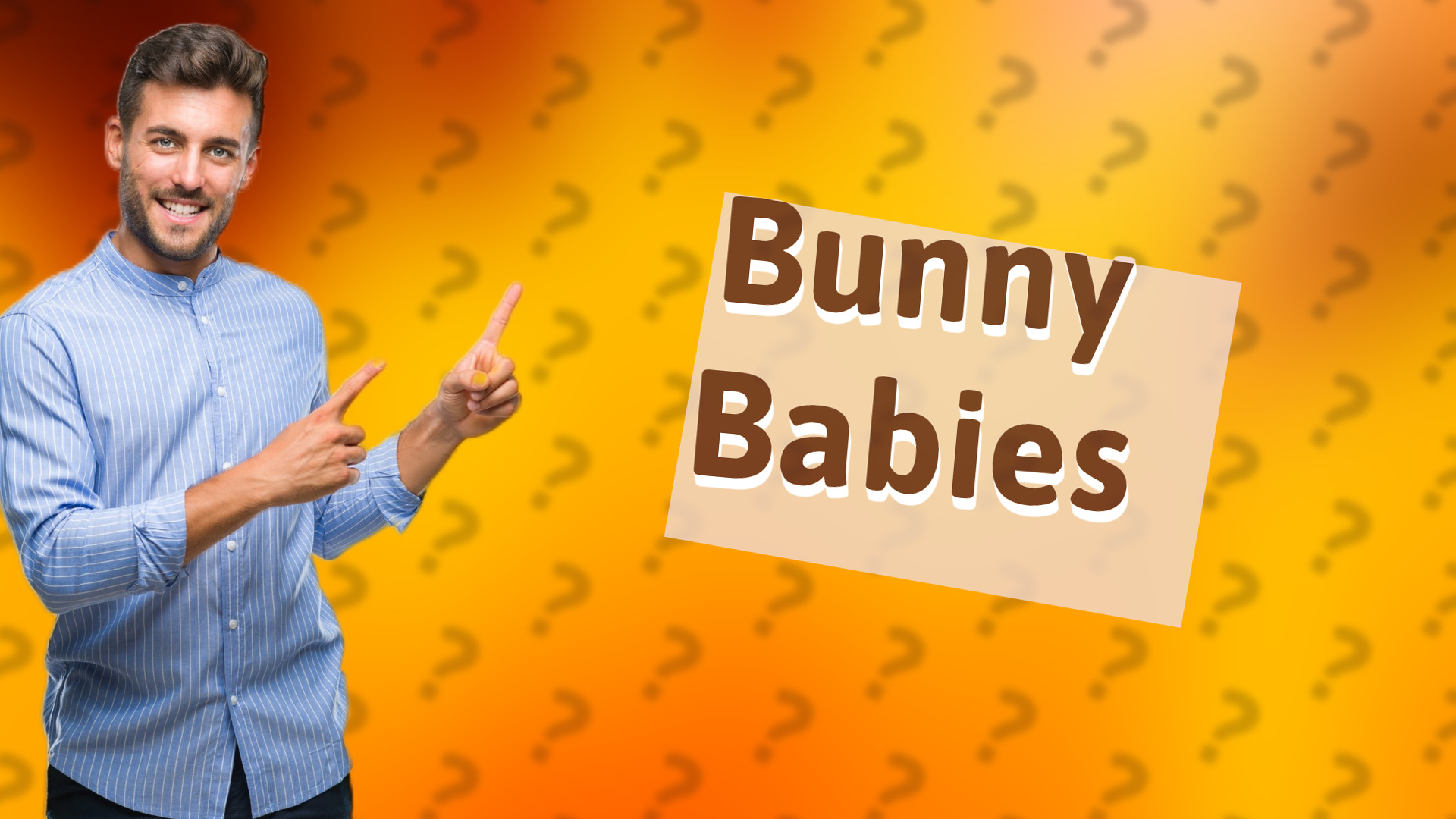 Bunny Babies