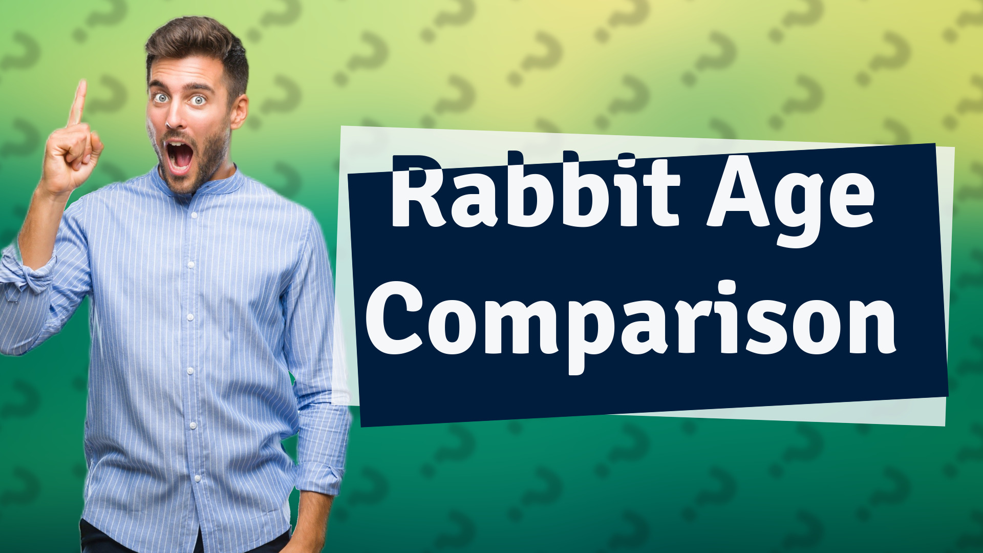 Rabbit Age Comparison