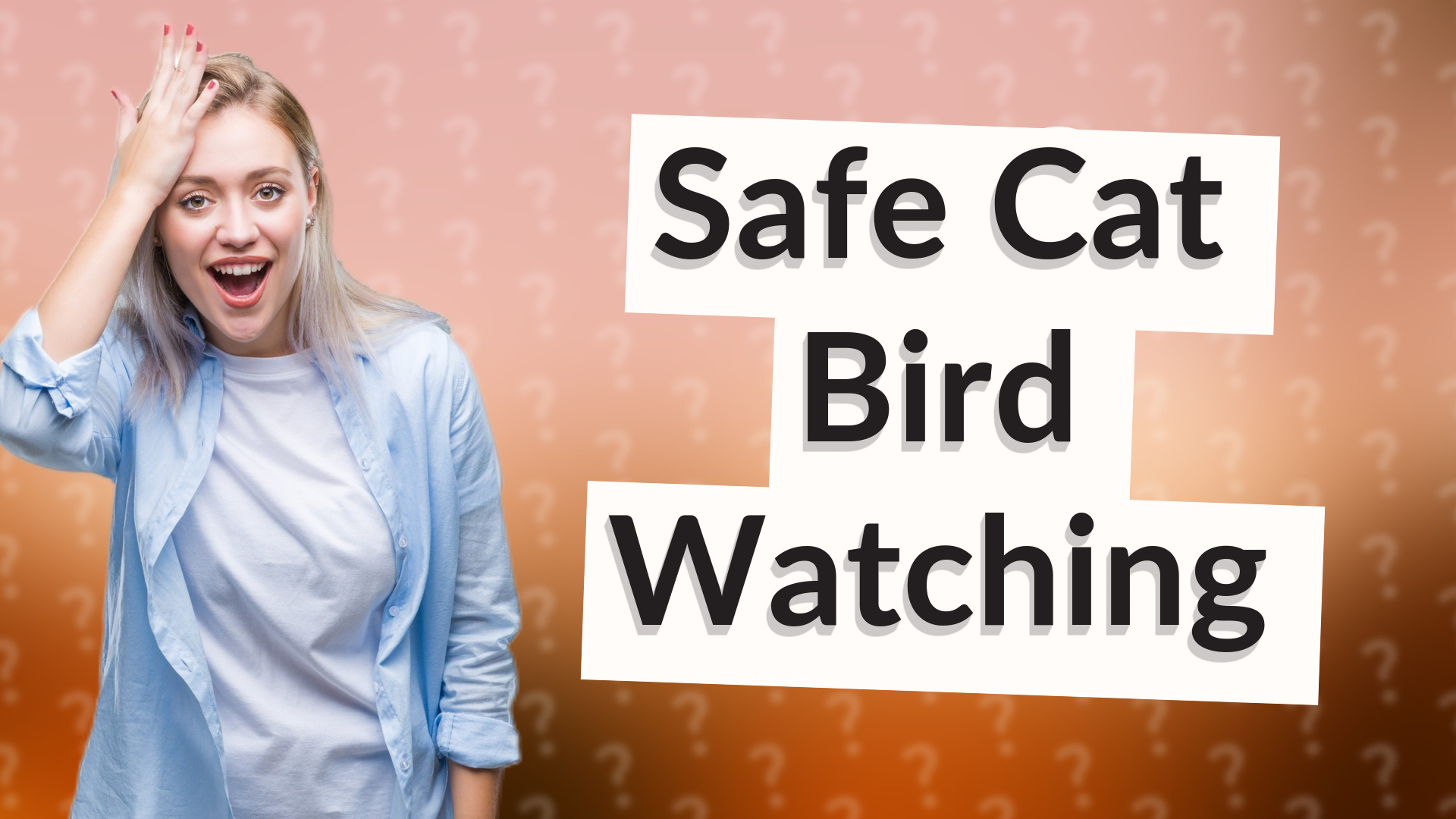 Safe Cat Bird Watching