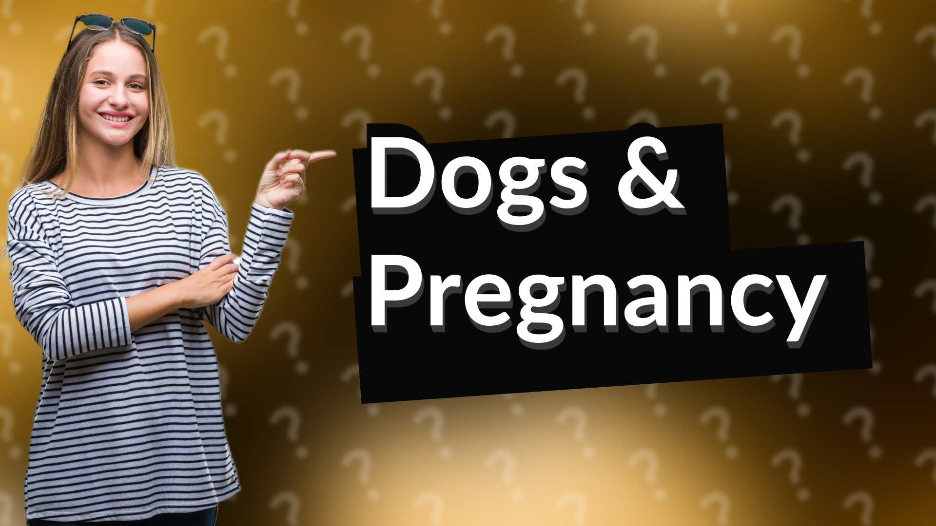 Dogs & Pregnancy
