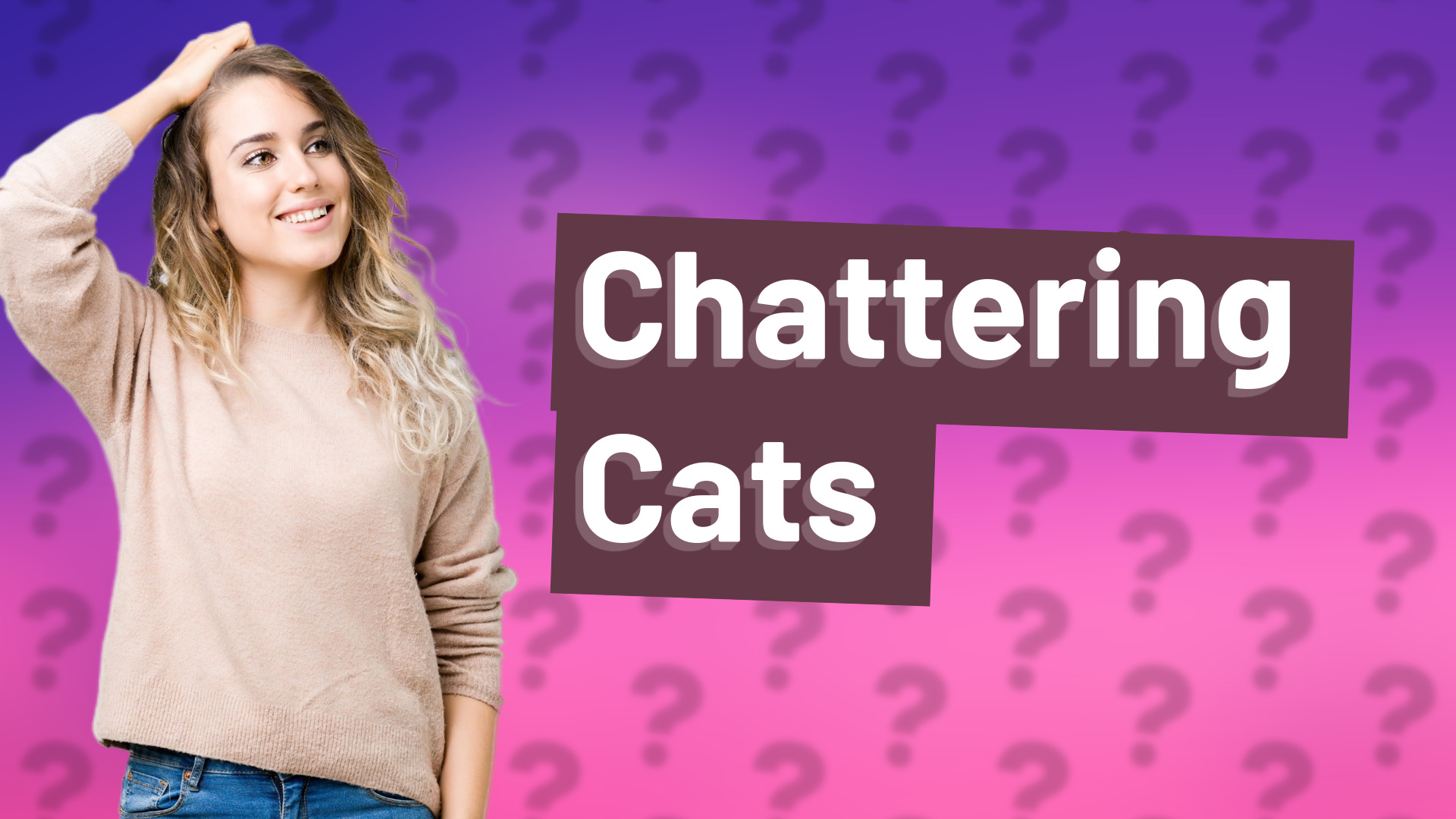 Chattering Cats