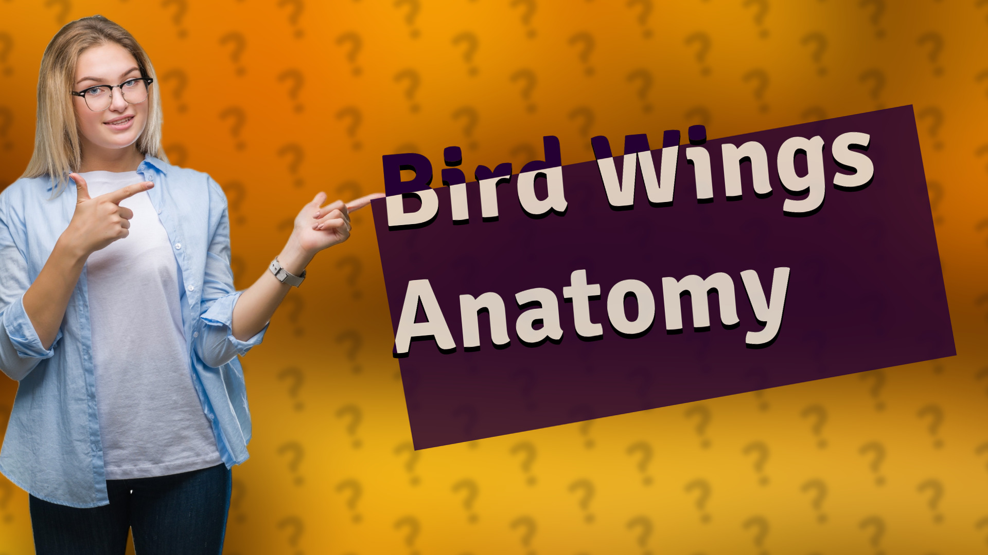 Bird Wings Anatomy