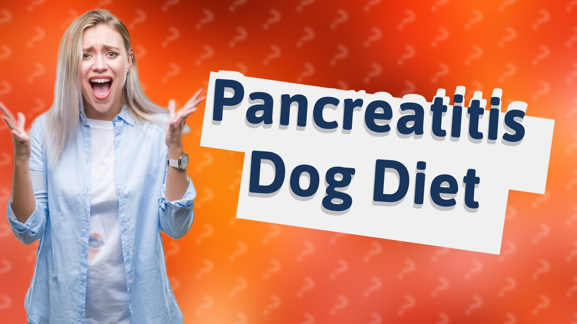 Pancreatitis Dog Diet