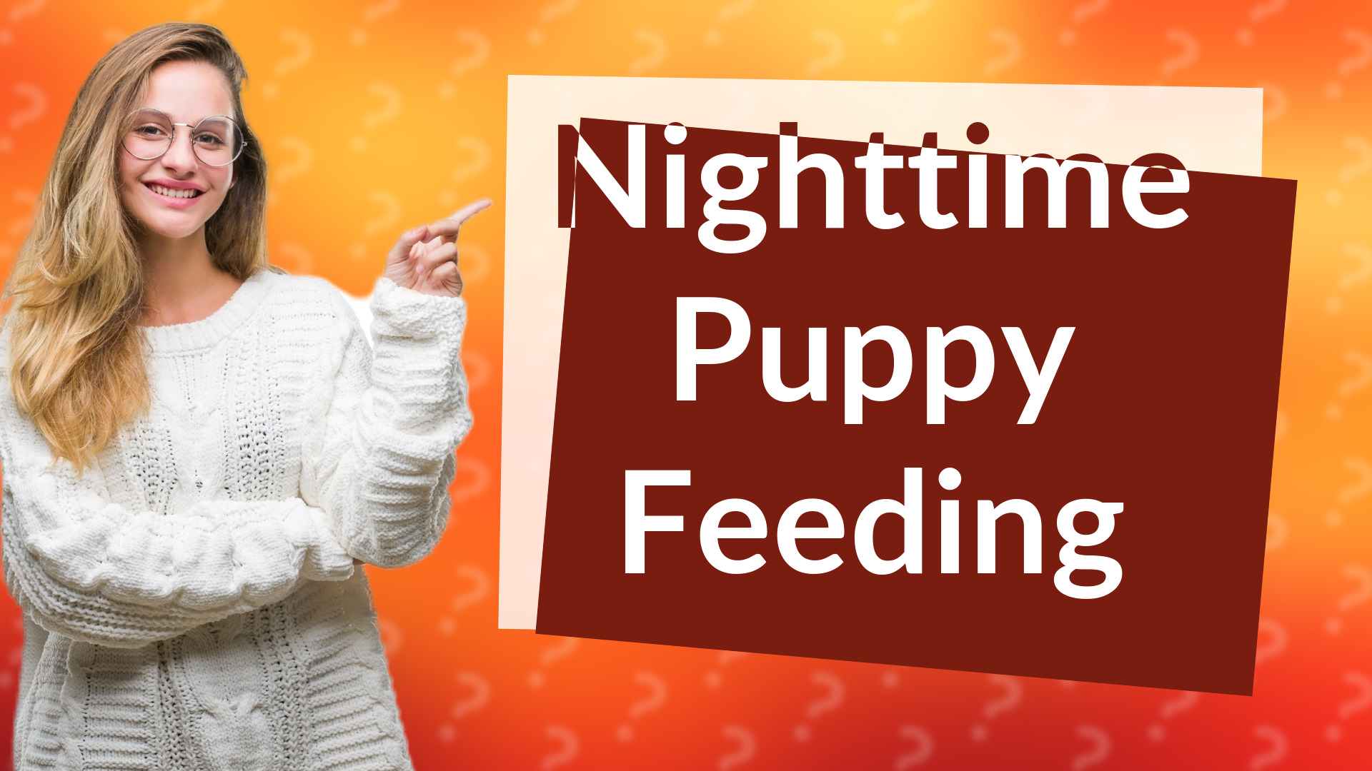 Nighttime Puppy Feeding