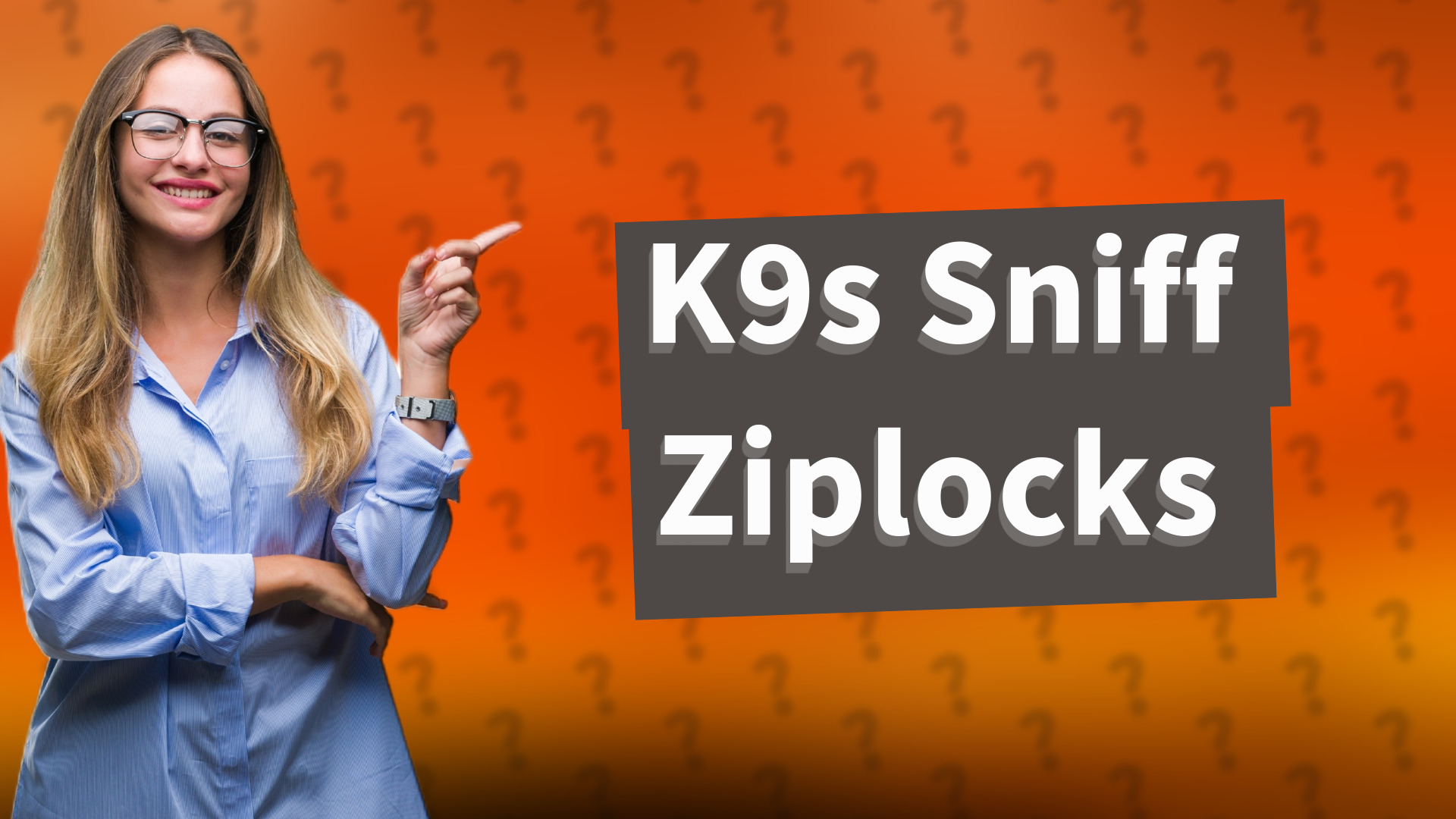 K9s Sniff Ziplocks
