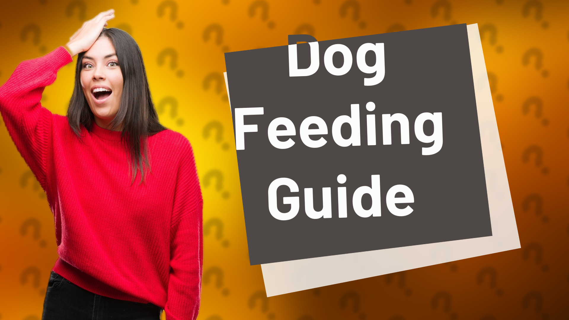 Dog Feeding Guide