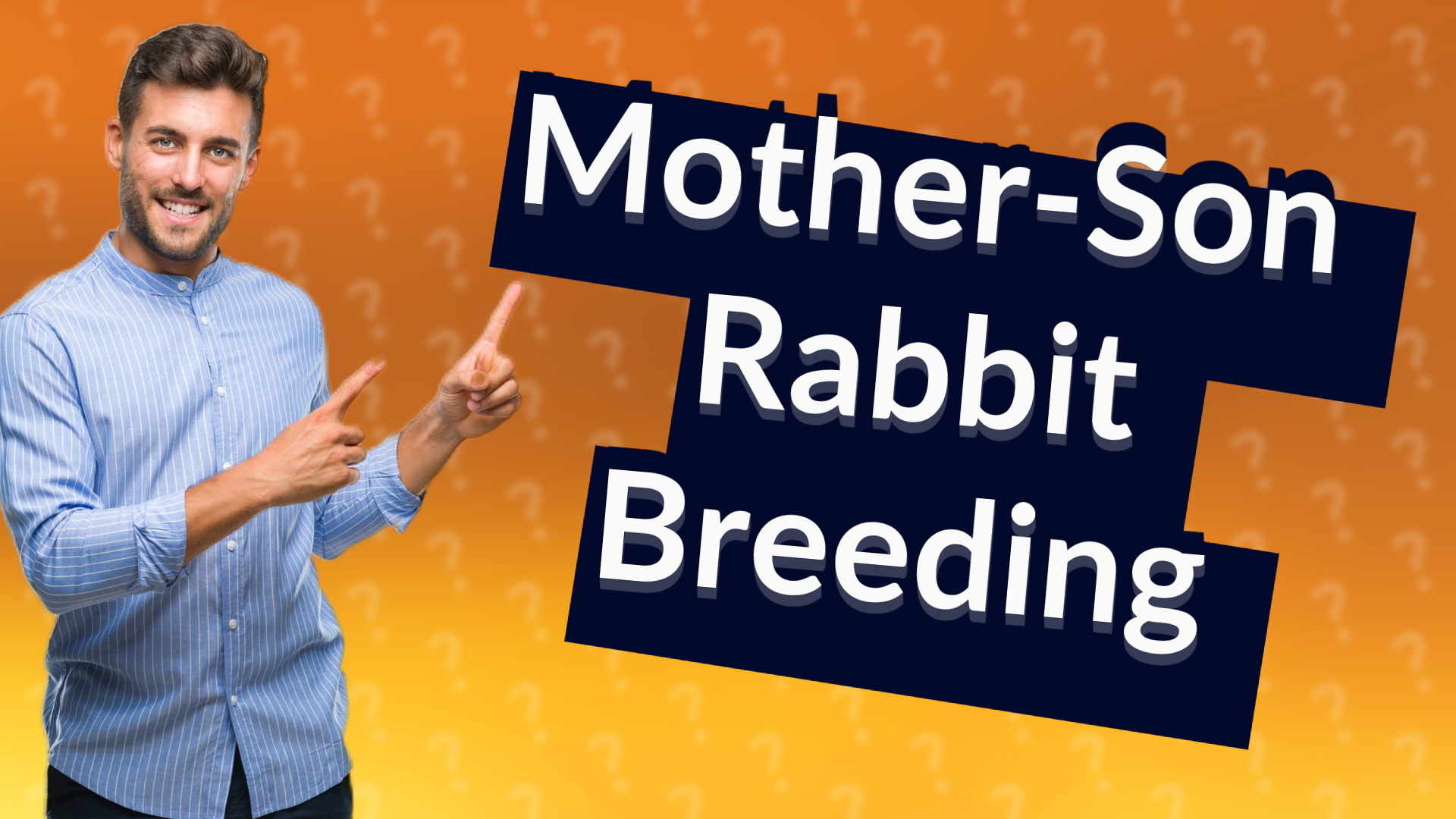 Mother-Son Rabbit Breeding