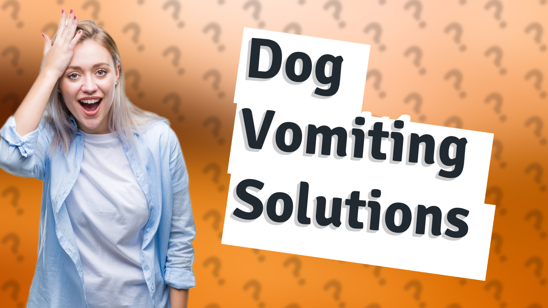 Dog Vomiting Solutions
