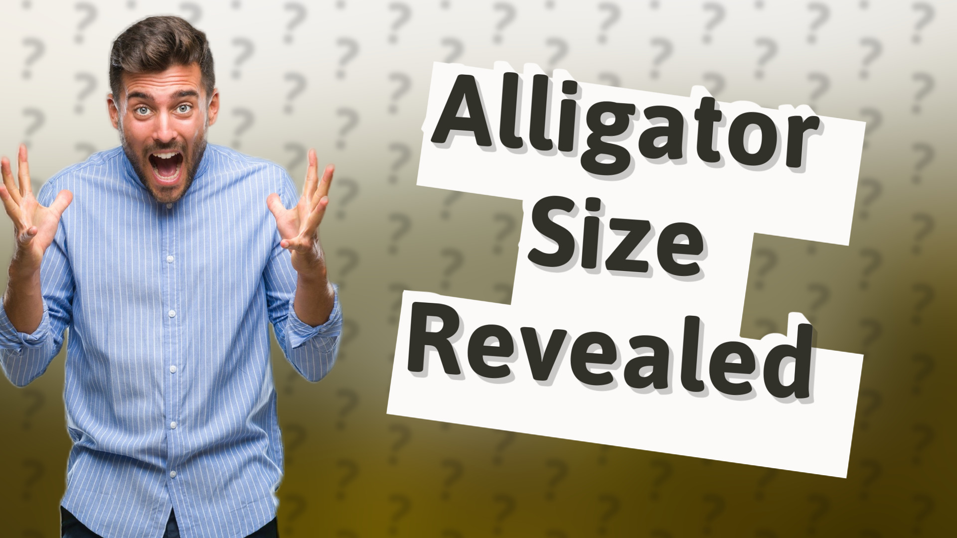 Alligator Size Revealed