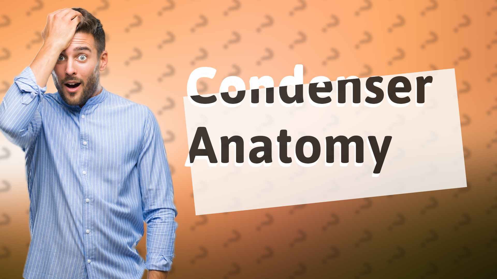 Condenser Anatomy