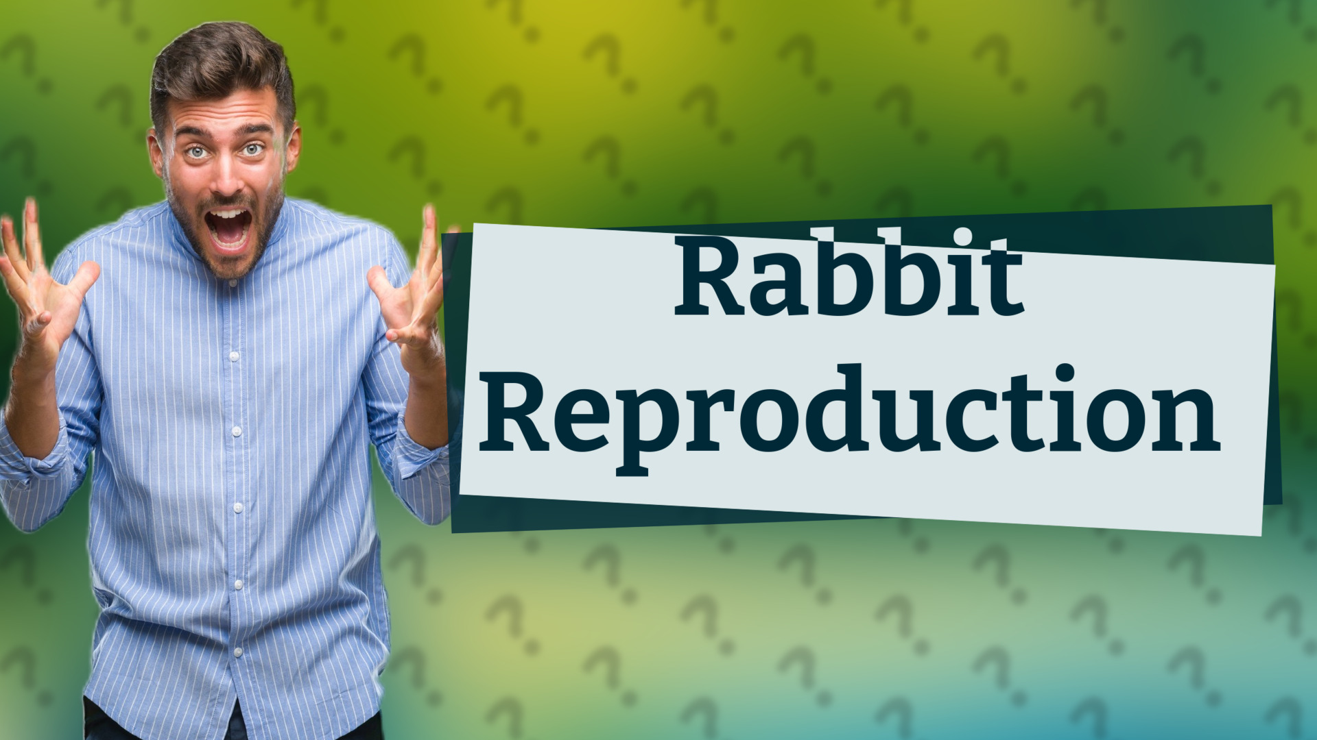 Rabbit Reproduction