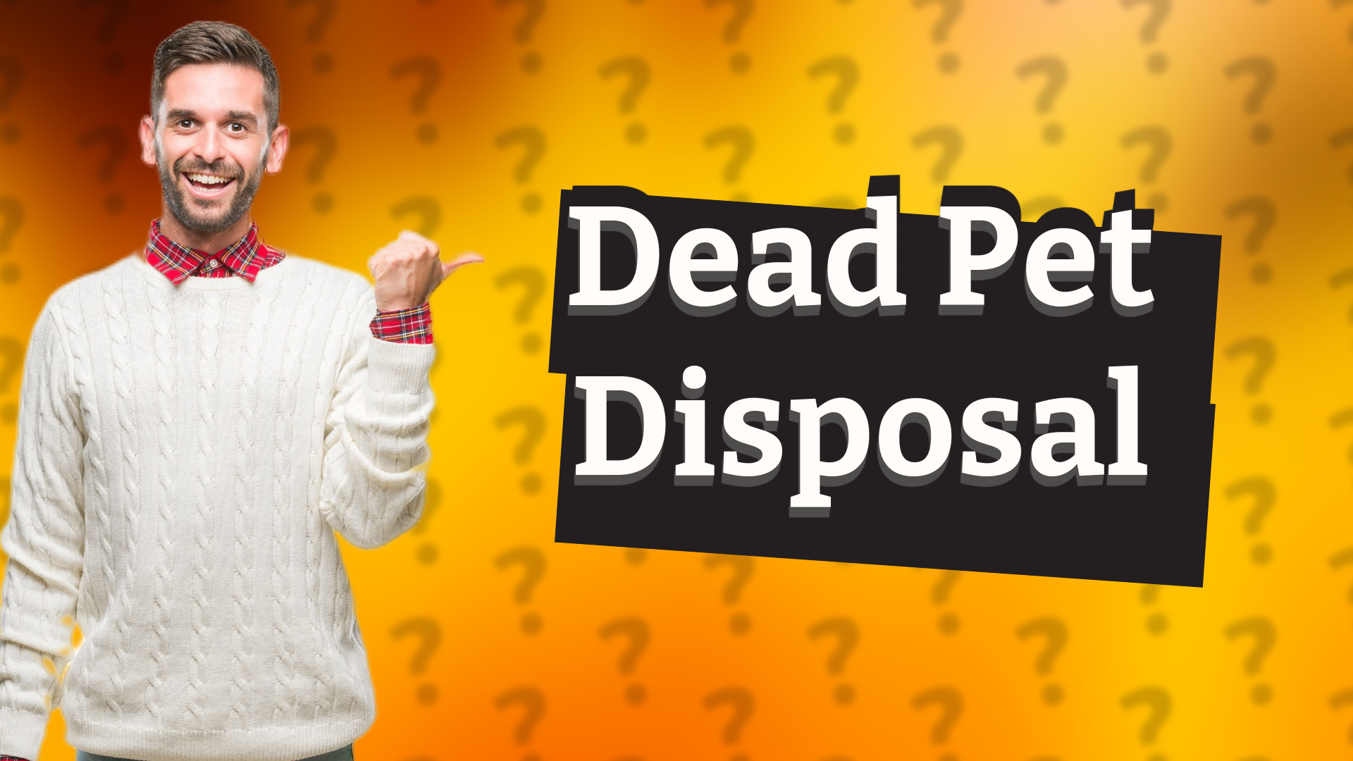 Dead Pet Disposal
