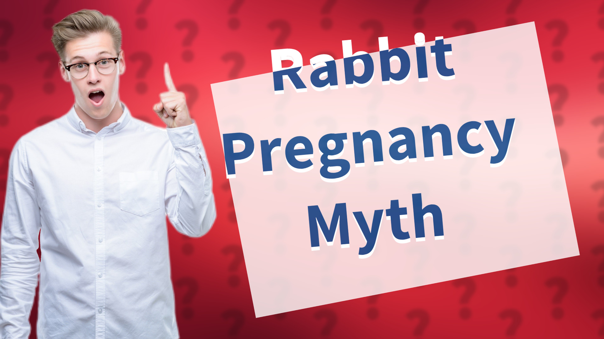 Rabbit Pregnancy Myth