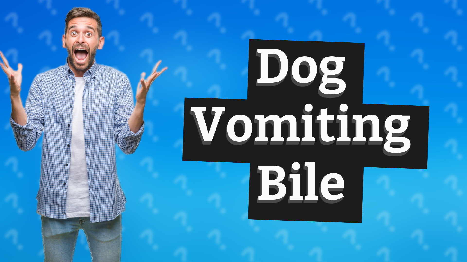 Dog Vomiting Bile