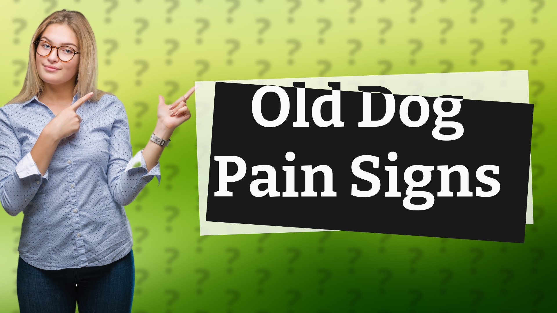 Old Dog Pain Signs