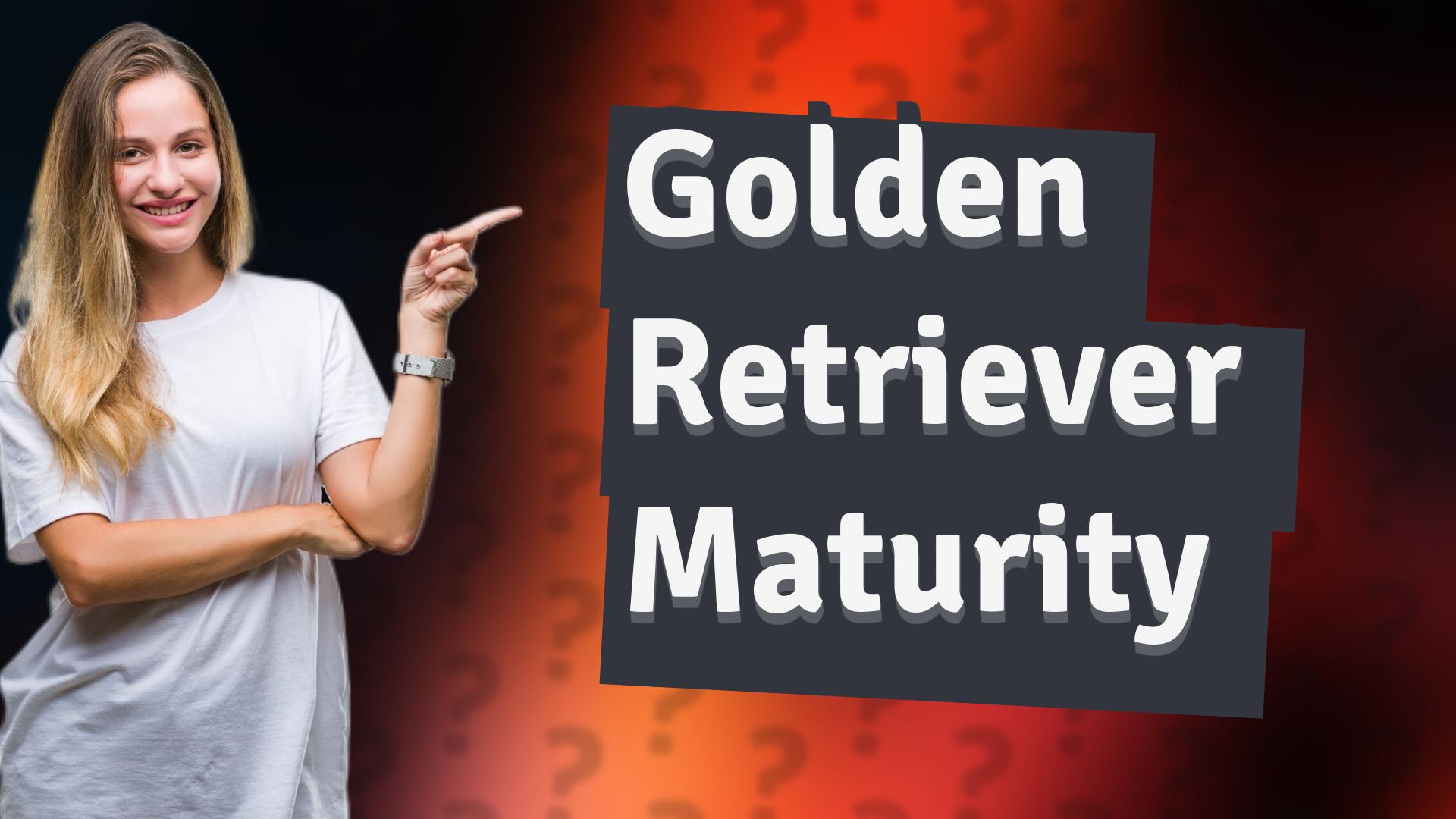 Golden Retriever Maturity