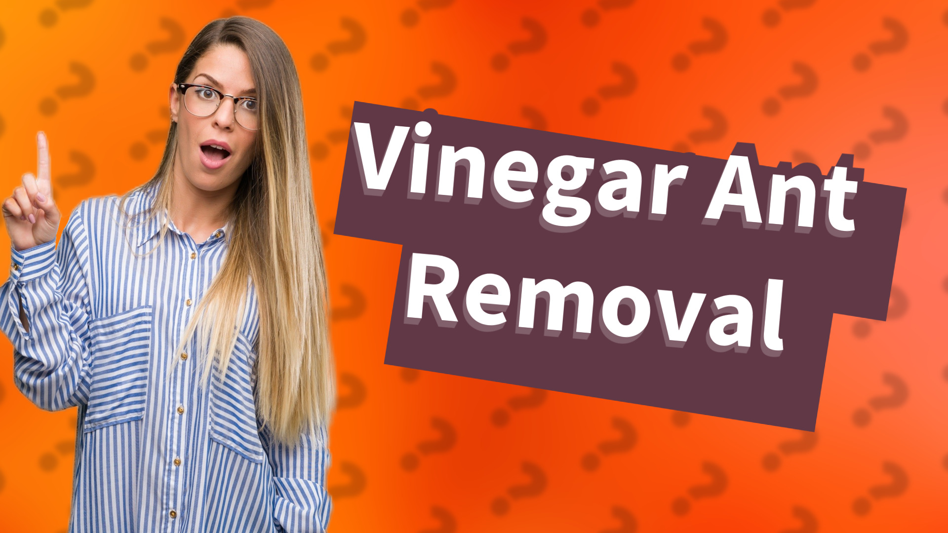 Vinegar Ant Removal