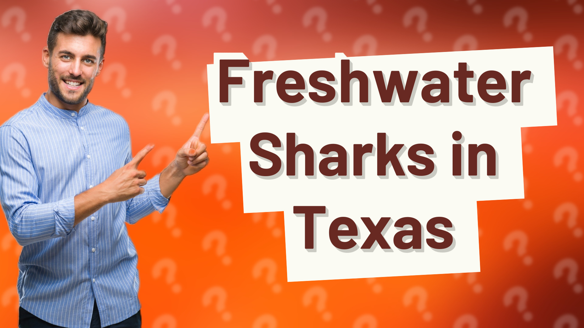 Freshwater Sharks in Texas