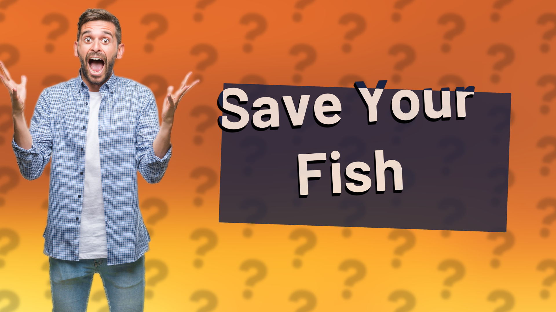 Save Your Fish