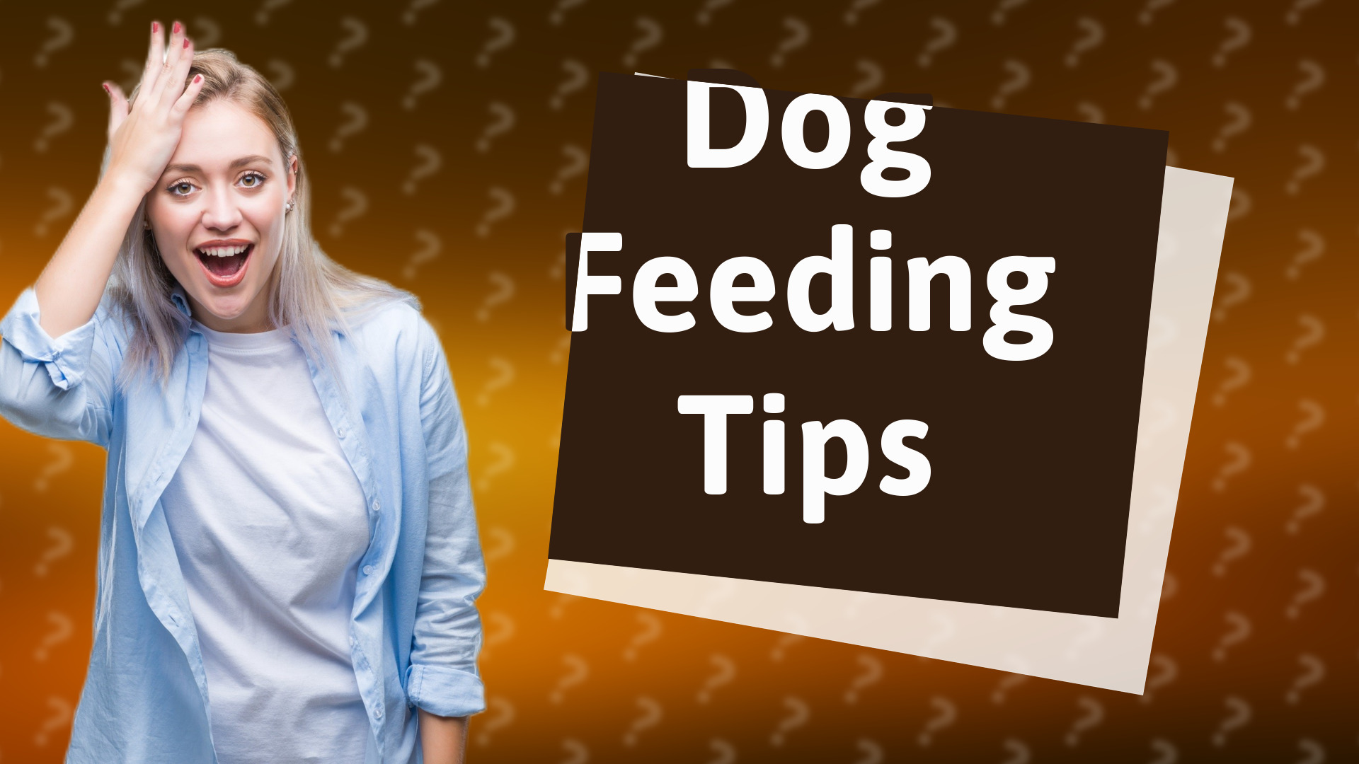 Dog Feeding Tips