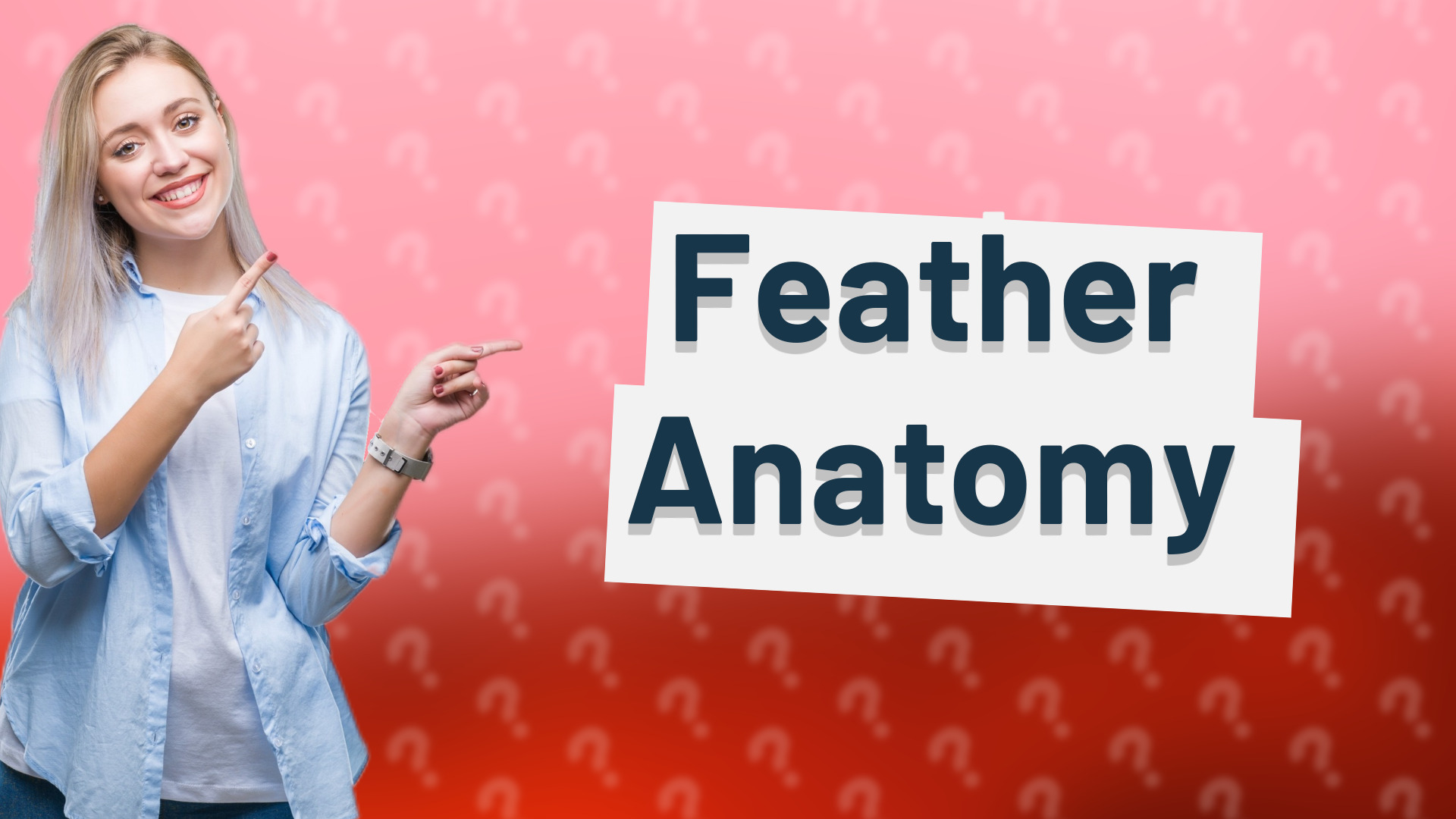 Feather Anatomy