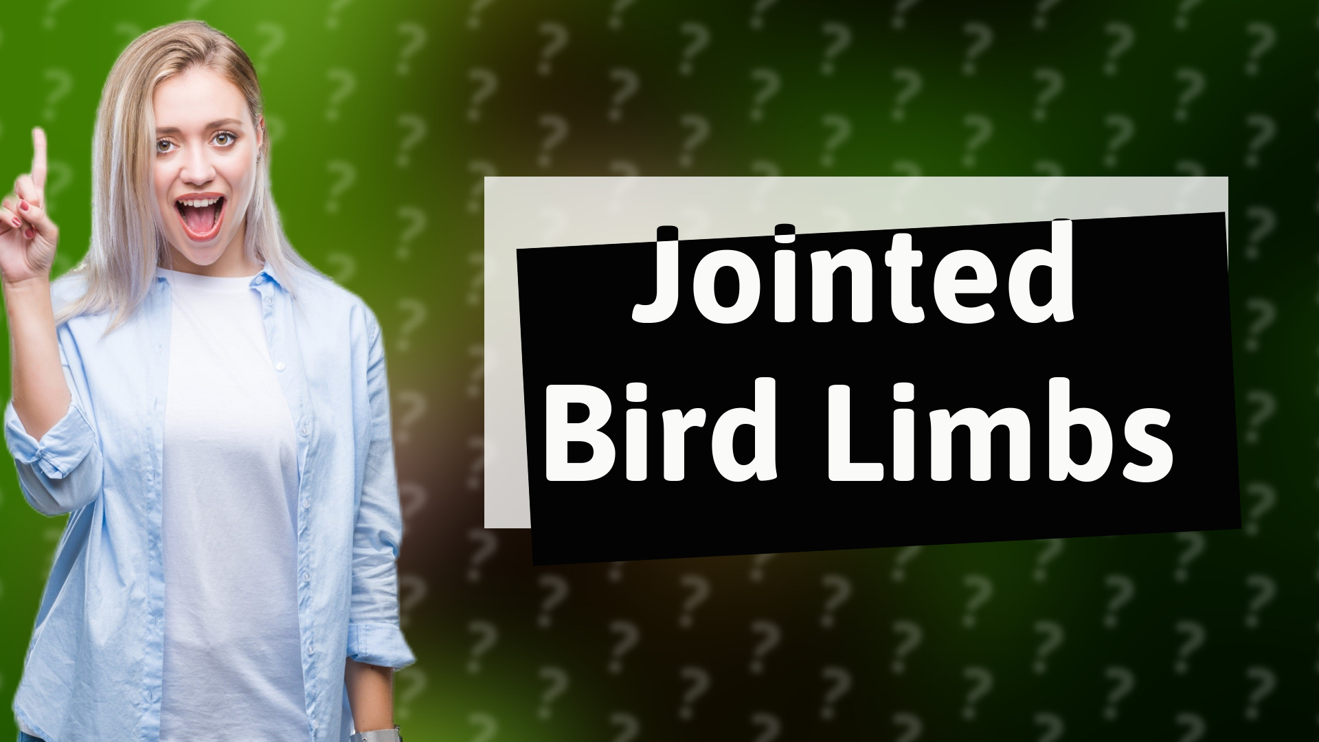 Jointed Bird Limbs