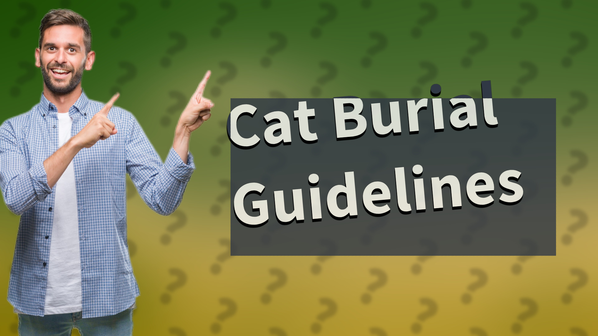 Cat Burial Guidelines