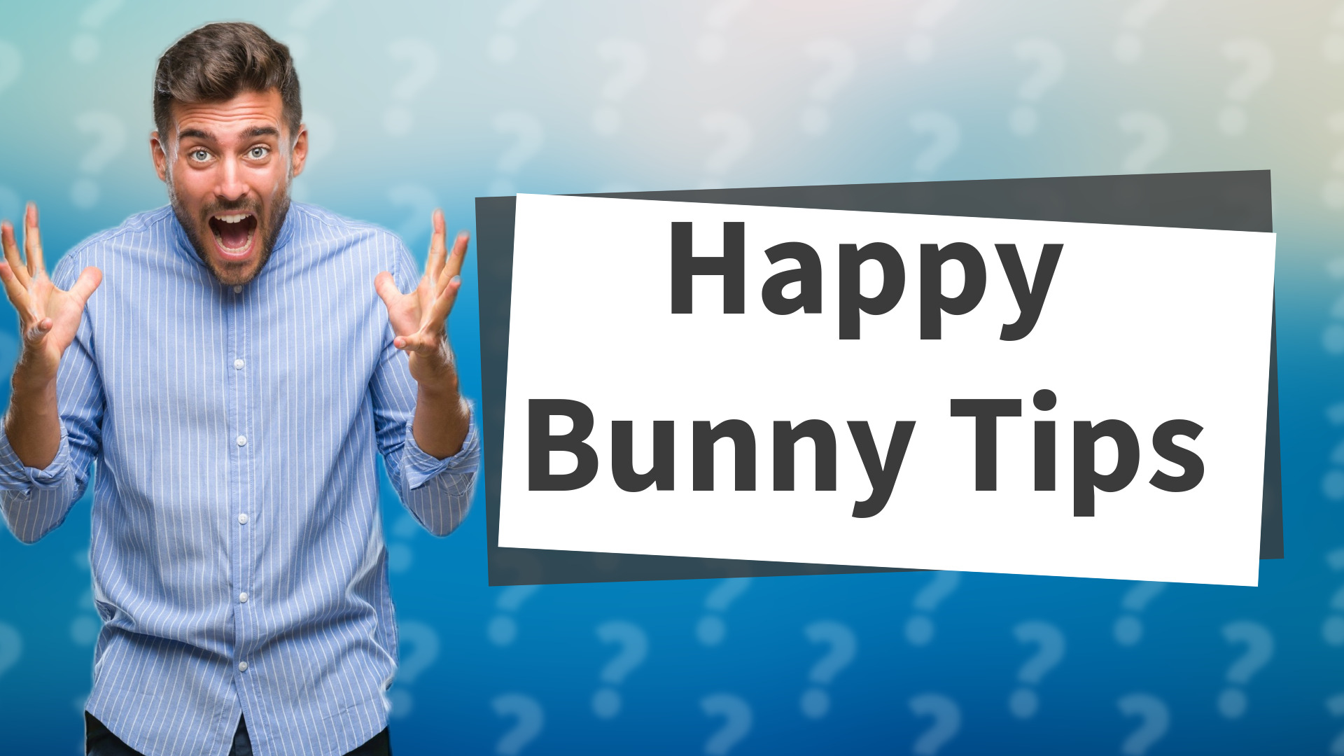 Happy Bunny Tips